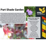 Part Shade Garden Kit  